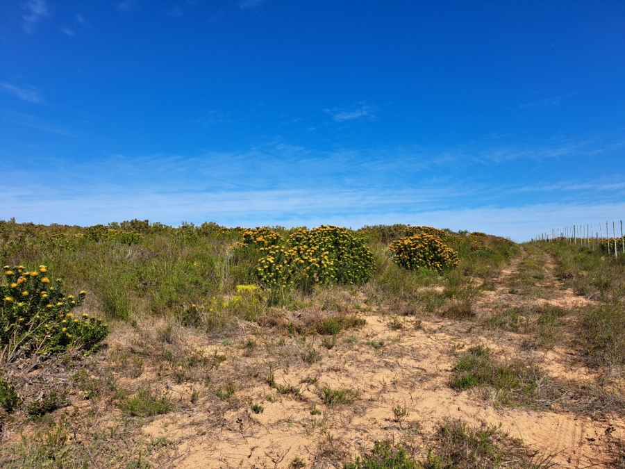 10 Bedroom Property for Sale in Stilbaai Rural Western Cape
